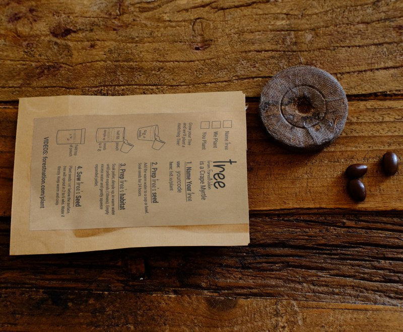 Christmas Trees and Skaters Tree Gift